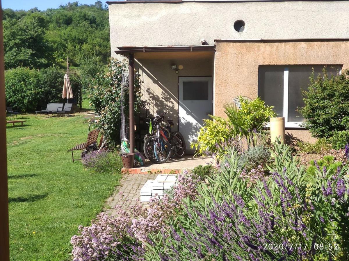 Apartman Lenka Borsice Exterior photo